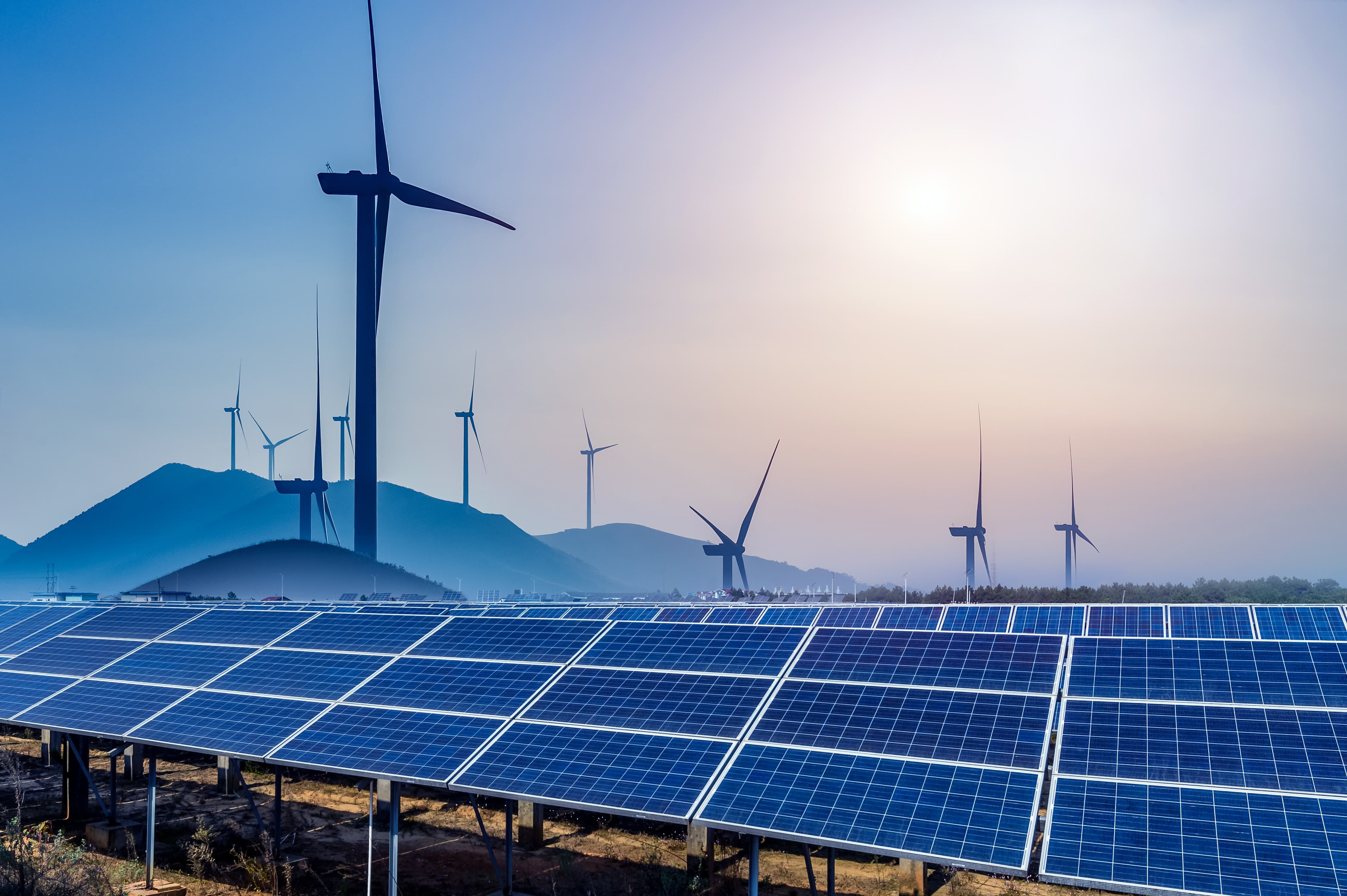 Understanding the local electricity market