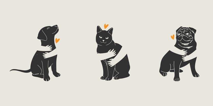 Cats vs. dogs - the great pet debate 🐱🐶