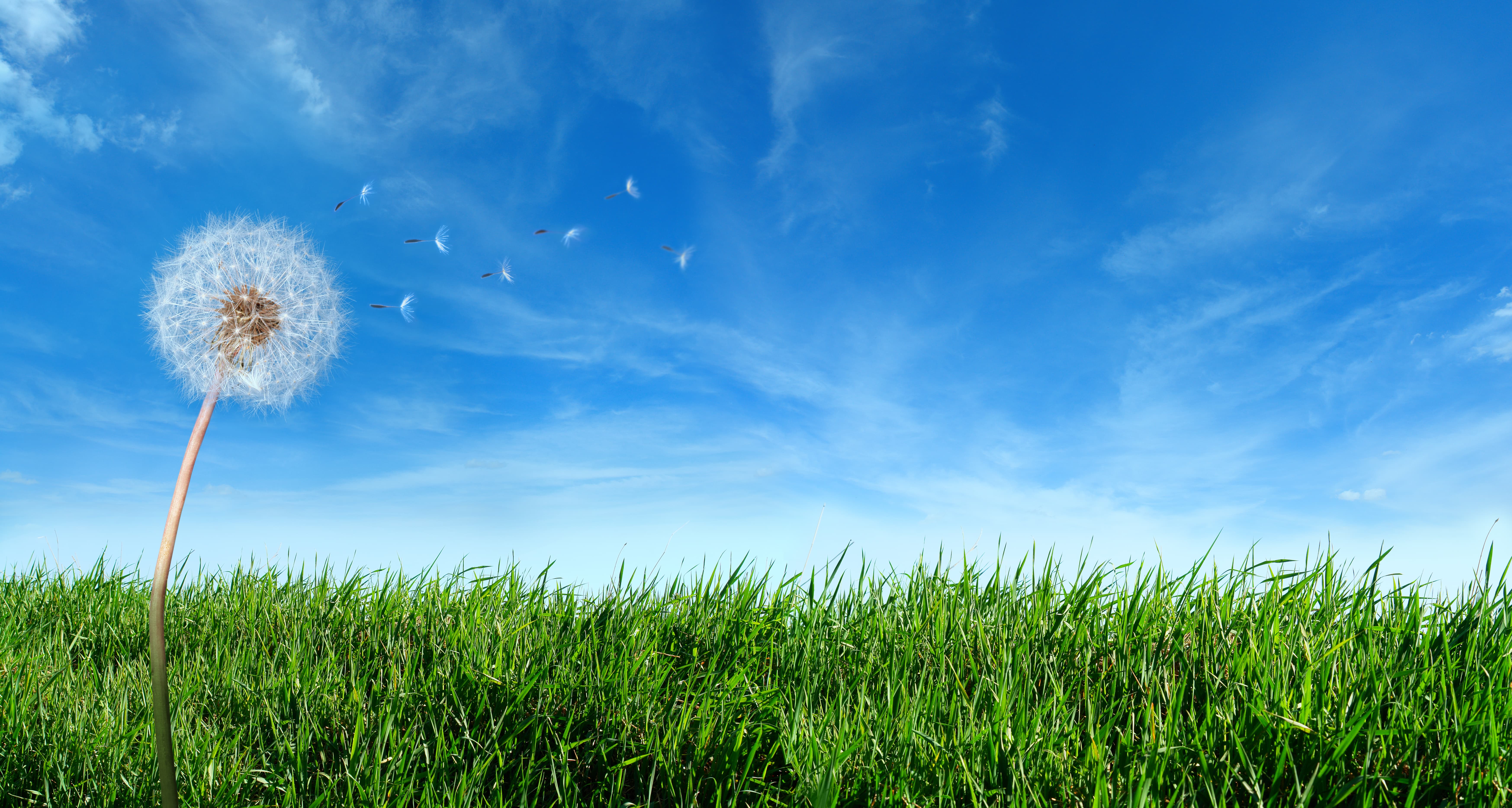 Cleaning data and the skies