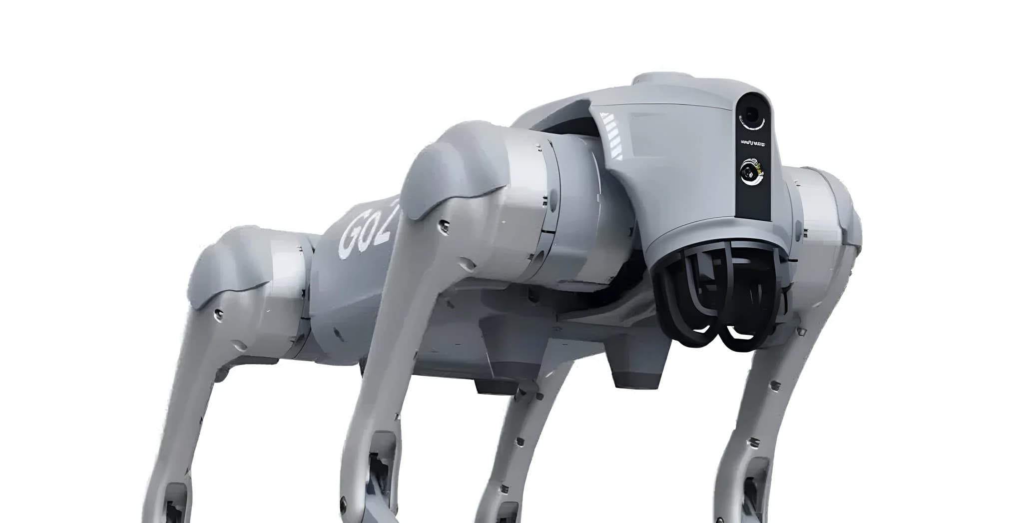 🐕 Choose My Dog Breed: Build an AI Chatbot That Finds Your Perfect Pup