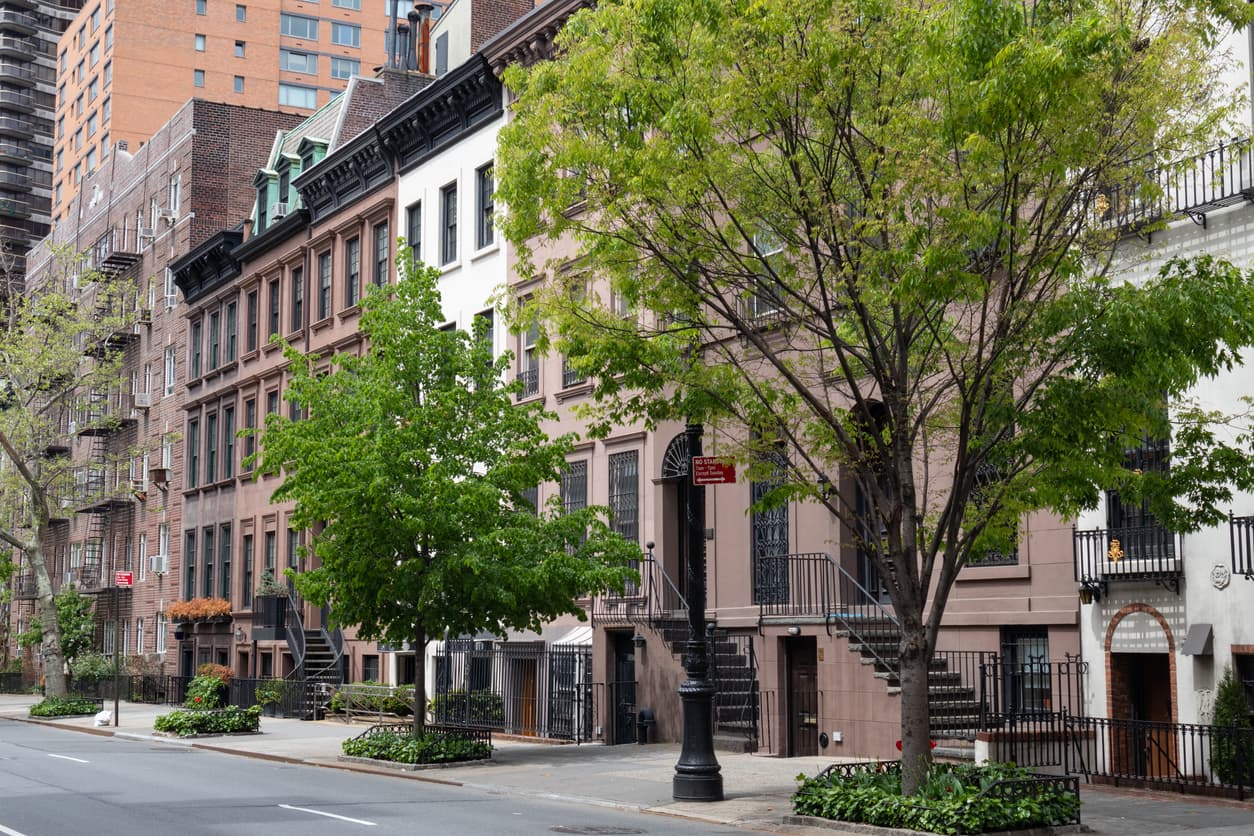 Which Tree Species Should the City Plant?
